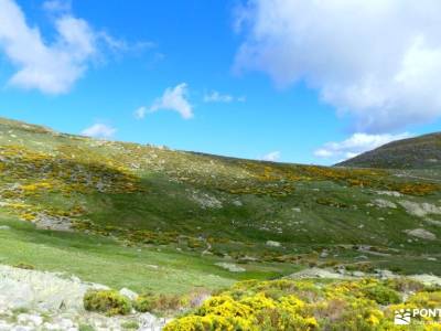 Morezón - Sierra de Gredos; bosque encantado asturias parque nacional monfragüe monasterio de nuria 